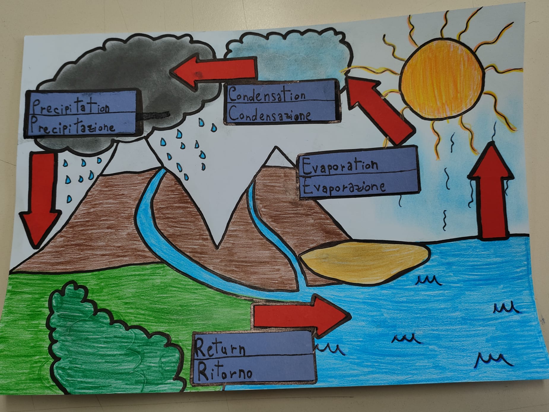 water cycle